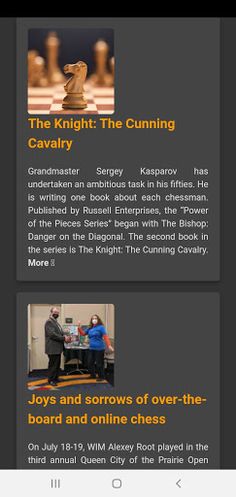 Chess pro - Screenshot 2