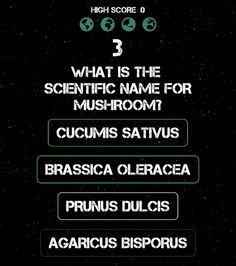 Fruits Game Scientific Name - Screenshot 2