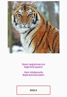 Puzzle - Animals - Screenshot 1