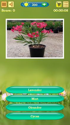 Flowers Quiz - Screenshot 1