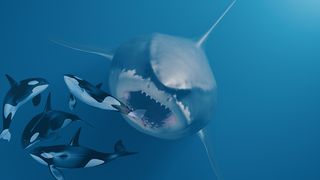 Monster Shark Hunting - Screenshot 3