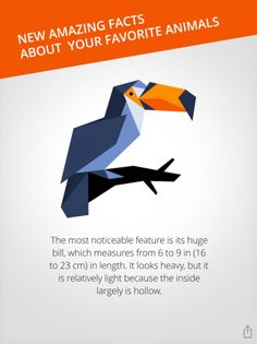 Cardinal Land - Screenshot 3