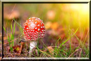 World Puzzles Classic - Screenshot 2