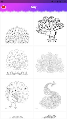 Coloring rainbow peacock - Screenshot 2