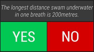 Yes/No Quiz Game - Screenshot 2