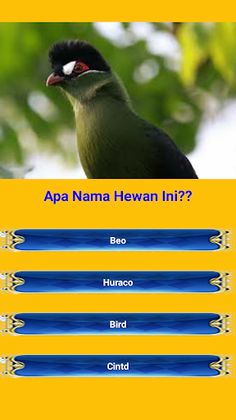 TebakGambarAf - Screenshot 3