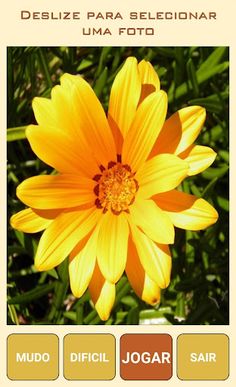 Quebra-Cabeça de Flores - Screenshot 1