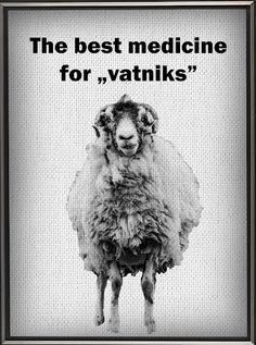 VOVOCHKA - Screenshot 3