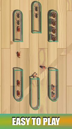 Insect Sort Puzzle Color Bugs - Screenshot 3