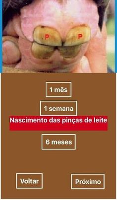 Ezoognosiando - Screenshot 4