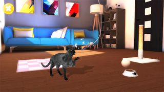 Talking Mumbai Cat - Screenshot 3