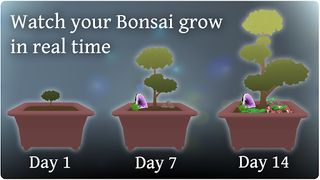 Pocket Bonsai - Screenshot 3