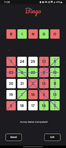 Bingo - Screenshot 4