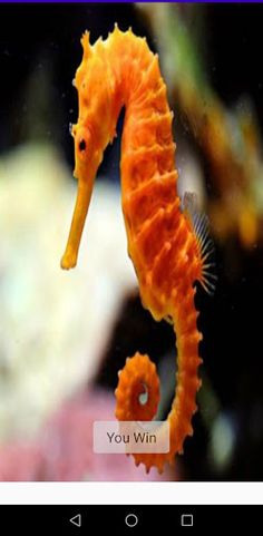 PuzzLrn - Screenshot 3