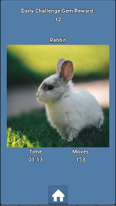 Daily NPuzzle - Screenshot 4