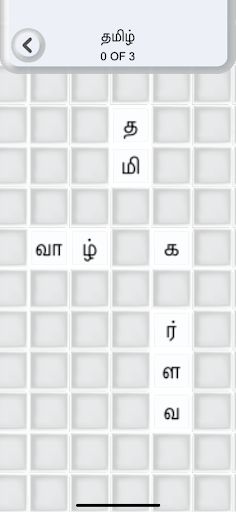 Tamil Word Puzzle Game - Screenshot 2