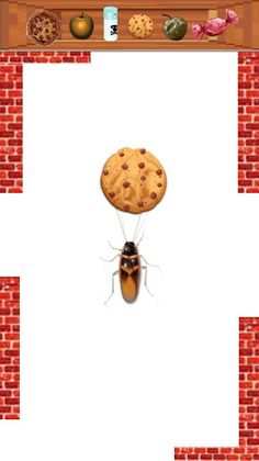 Cockroach - Cat's Game - Screenshot 1