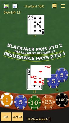 Card Counting Blackjack - Screenshot 1