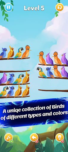 Sort Birds - Screenshot 2