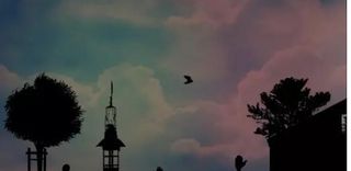 Bird Rush - Screenshot 1