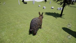 Happy Rabbit Simulator - Screenshot 2
