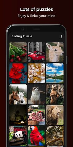 Sliding Puzzle - The 15 puzzle - Screenshot 2