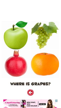 Learn Fruits and Vegetables - Screenshot 3