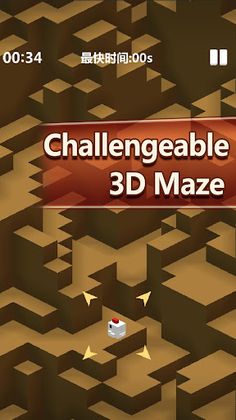 3D Maze:Chick looking for wife - Screenshot 3