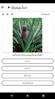 ORM TMD232 - Screenshot 3