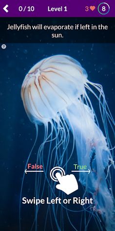 TruVia! - True False Picture Q - Screenshot 1