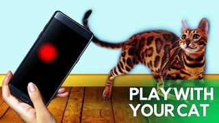 Game for cats! - Screenshot 2