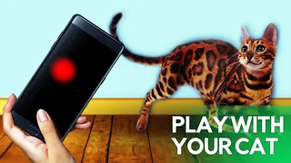 Game for cats! - Screenshot 2