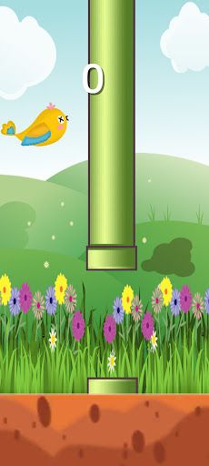 Birdo - Screenshot 3