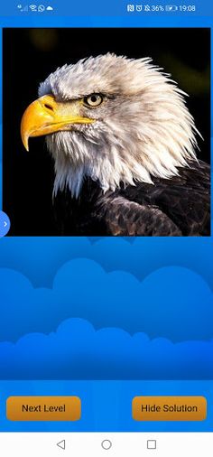 Animal Slide Puzzle - Screenshot 2