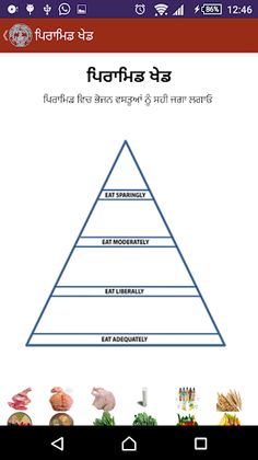 NIN Nutrition ਪੋਸ਼ਣ ਖੇਡ Punjab - Screenshot 4