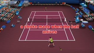 Tennis 3D Offline Simulator - Screenshot 1