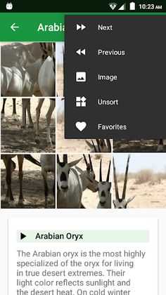 Wild Animals Puzzle - Screenshot 3