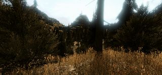 VR Forest Relaxation 3 - Screenshot 2