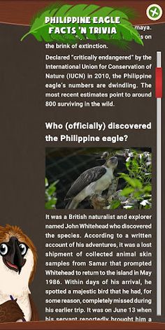 JuanD : Protector of the Harib - Screenshot 3