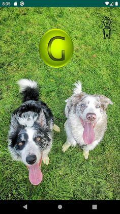 Geokrizago- GC8GZXX - Screenshot 2