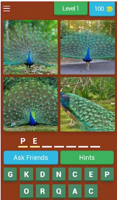 Birds Quiz - Screenshot 1