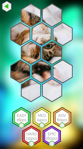 Cat Games - Kittens Puzzles - Screenshot 3