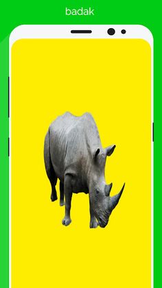 tebak nama hewan dan binatang - Screenshot 3