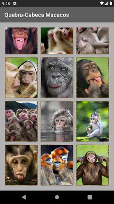 Quebra-Cabeças Macacos Puzzles - Screenshot 2