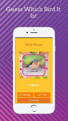 Guess Which Bird It Is! - Screenshot 2