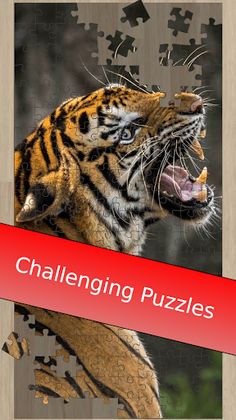 Tiger Jigsaw Puzzles HD - Big  - Screenshot 2