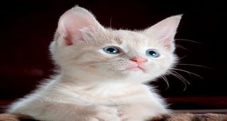 K I Puzzle Game - Screenshot 3