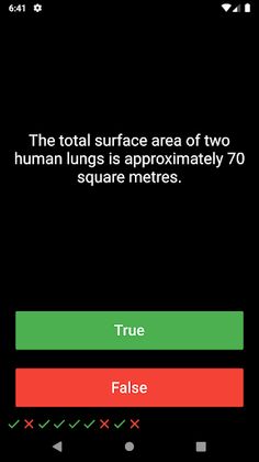 Quizzler - Screenshot 1