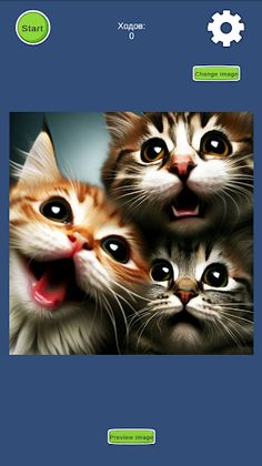 Barley-break cats - Screenshot 3