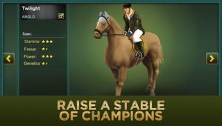 Jumping Horses Champions 2 - Screenshot 3